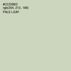 #CCD5BD - Pale Leaf Color Image